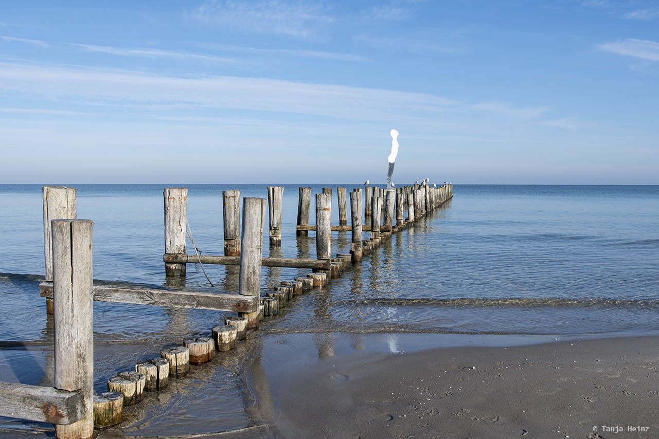 Kunst in Zingst