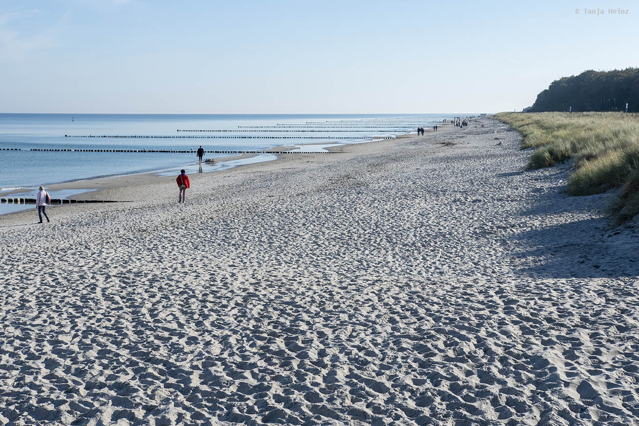 Strand auf Fischland-Darß-Zingst