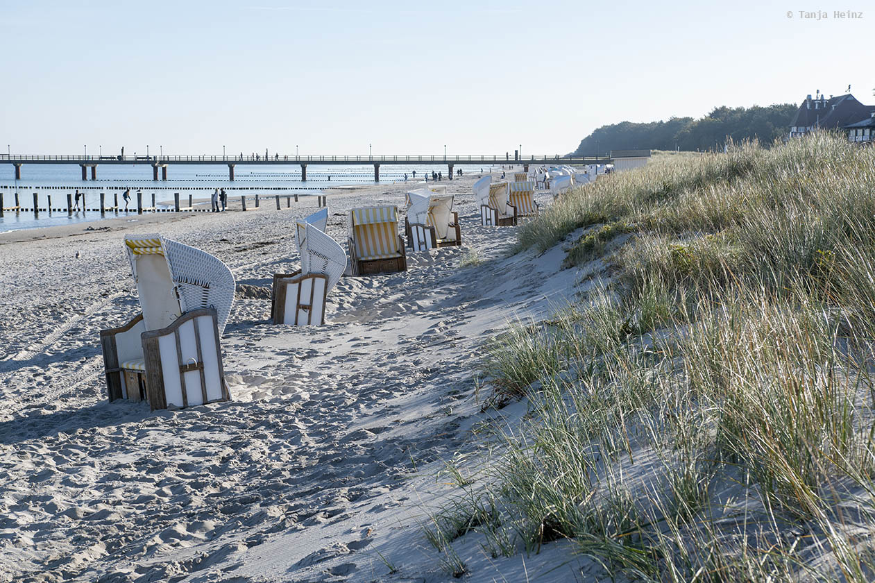 Strand auf Fischland-Darß-Zingst
