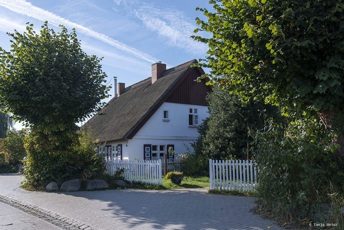 Reetgedecktes Haus in Zingst