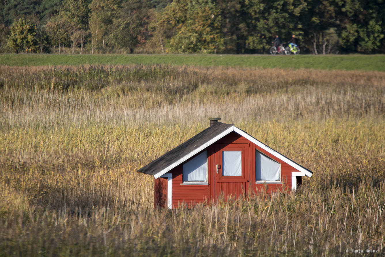 Hütte auf Fischland-Darß-Zingst
