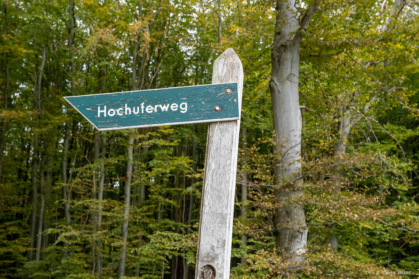 Hochuferweg durch die Buchenwälder