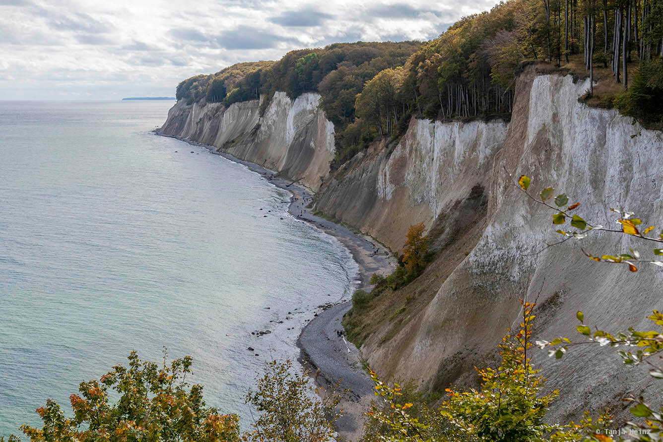 Kreidefelsen auf Rügen