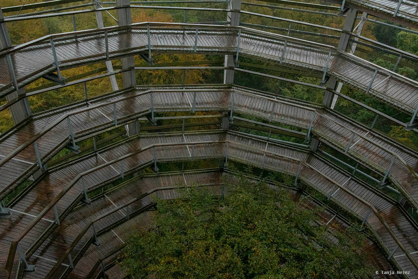 Baumwipfelpfad auf Rügen