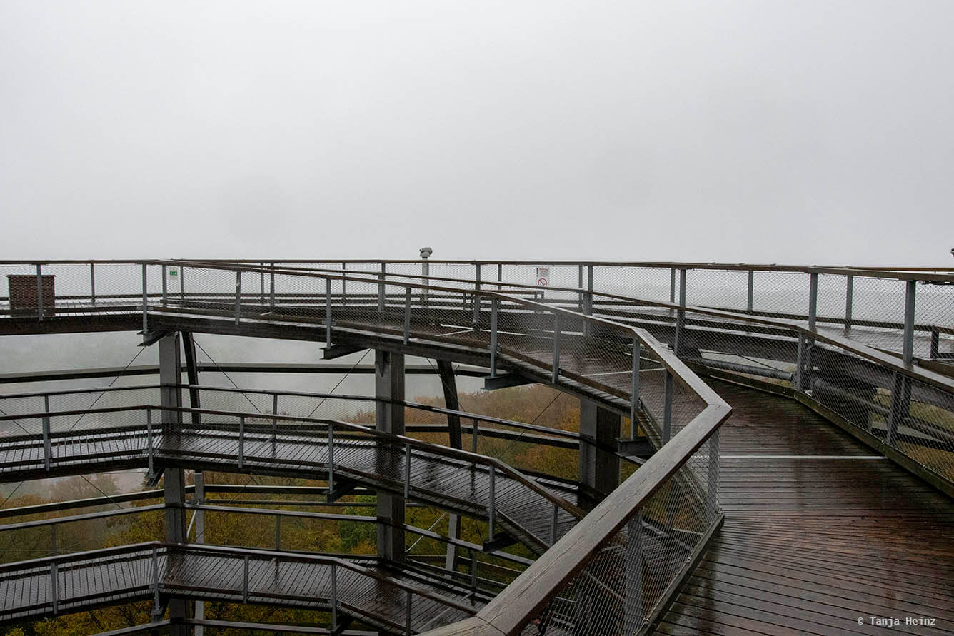 Baumwipfelpfad auf Rügen