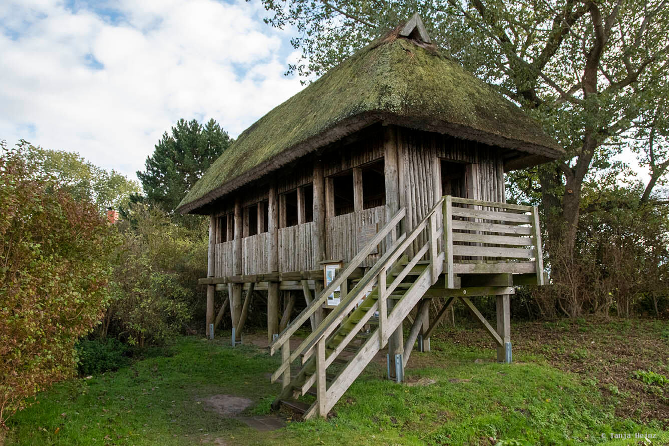 Kranichbeobachtung auf Ummanz
