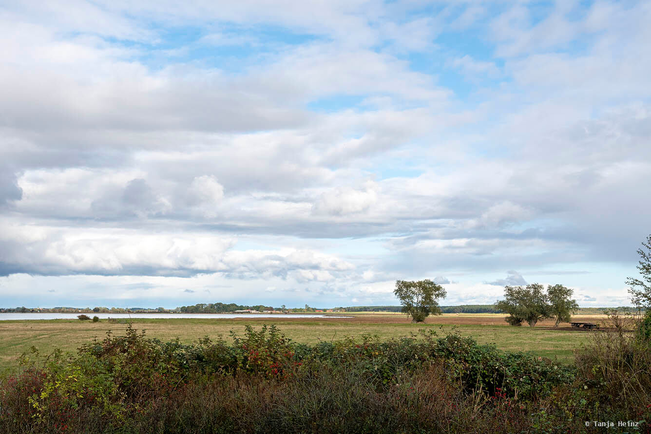 Landschaft auf Ummanz