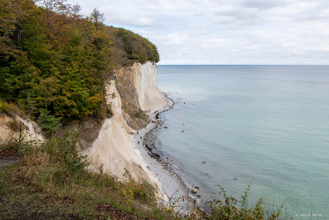 Kreidefelsen und Buchenwälder auf Rügen