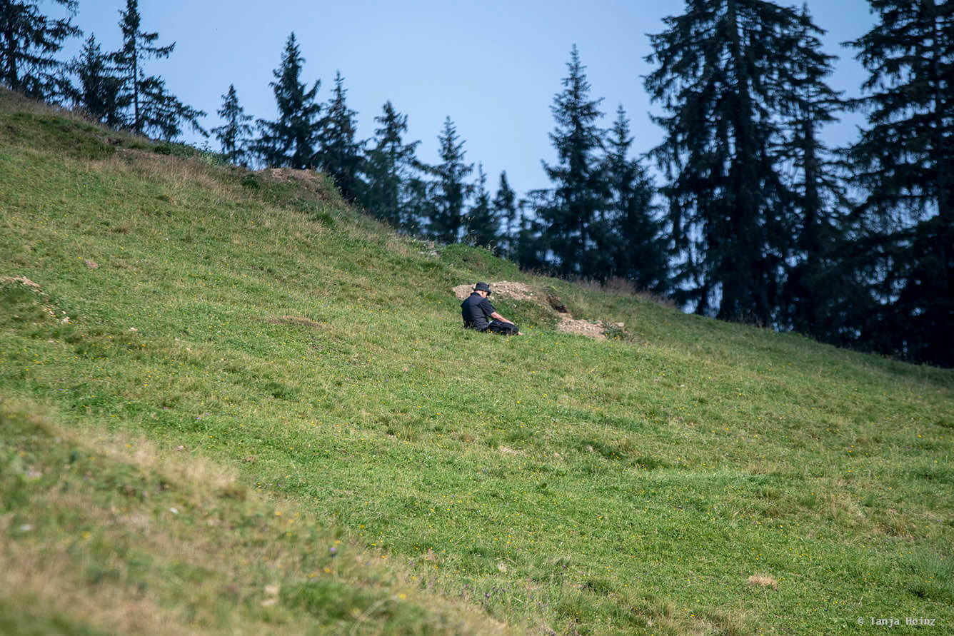 Man filming alpine marmots
