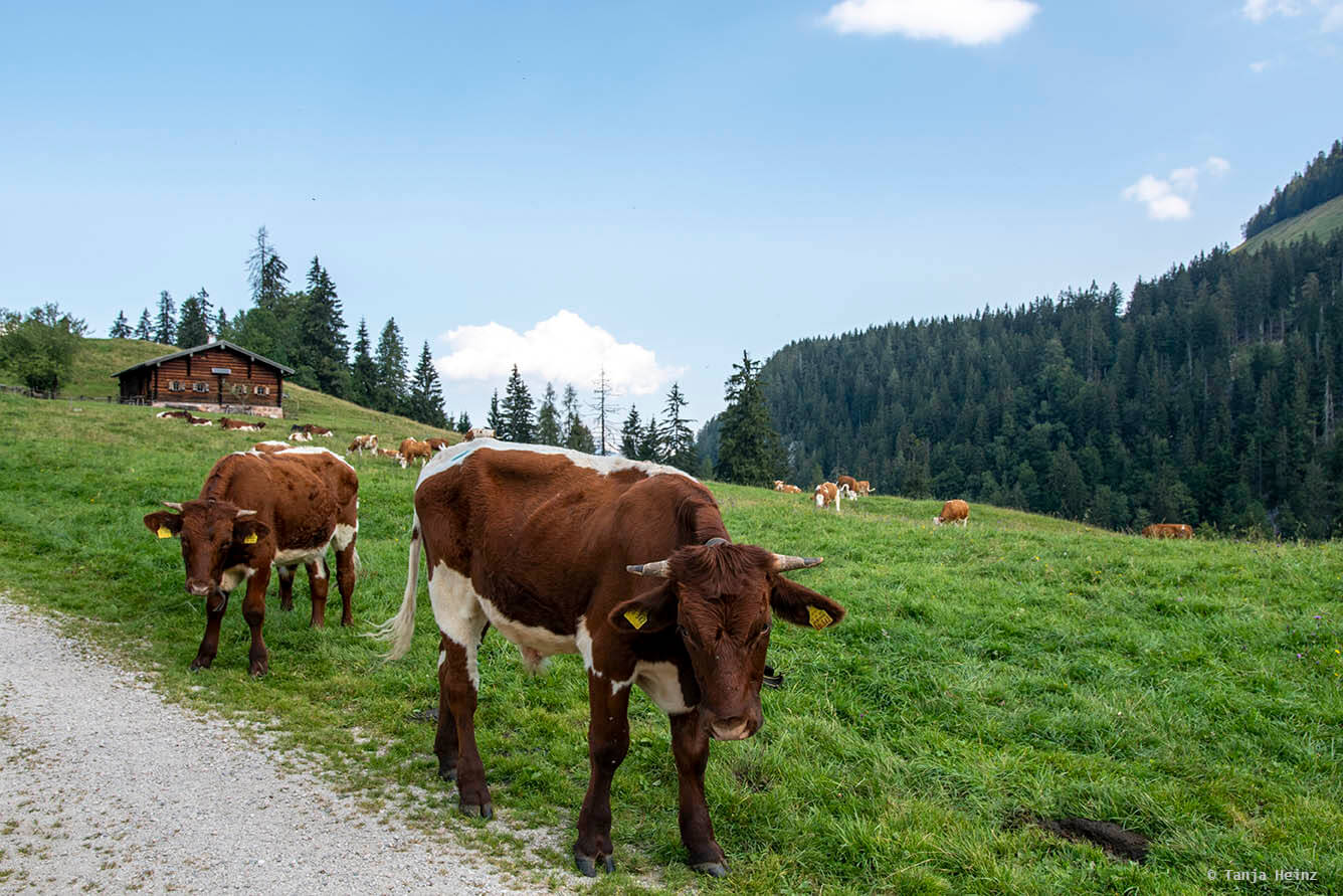 Berchtesgadener Land