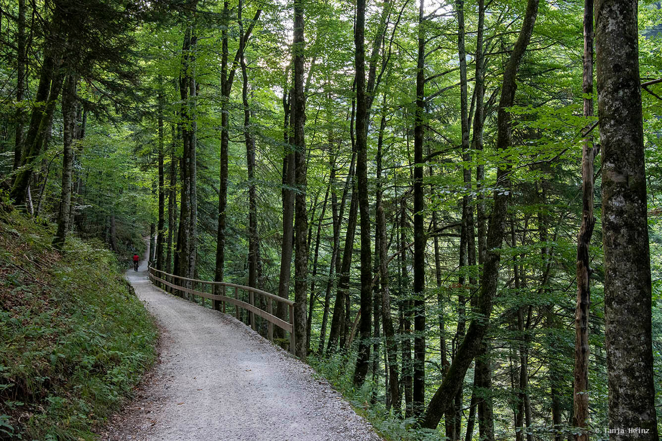 Berchtesgadener Land