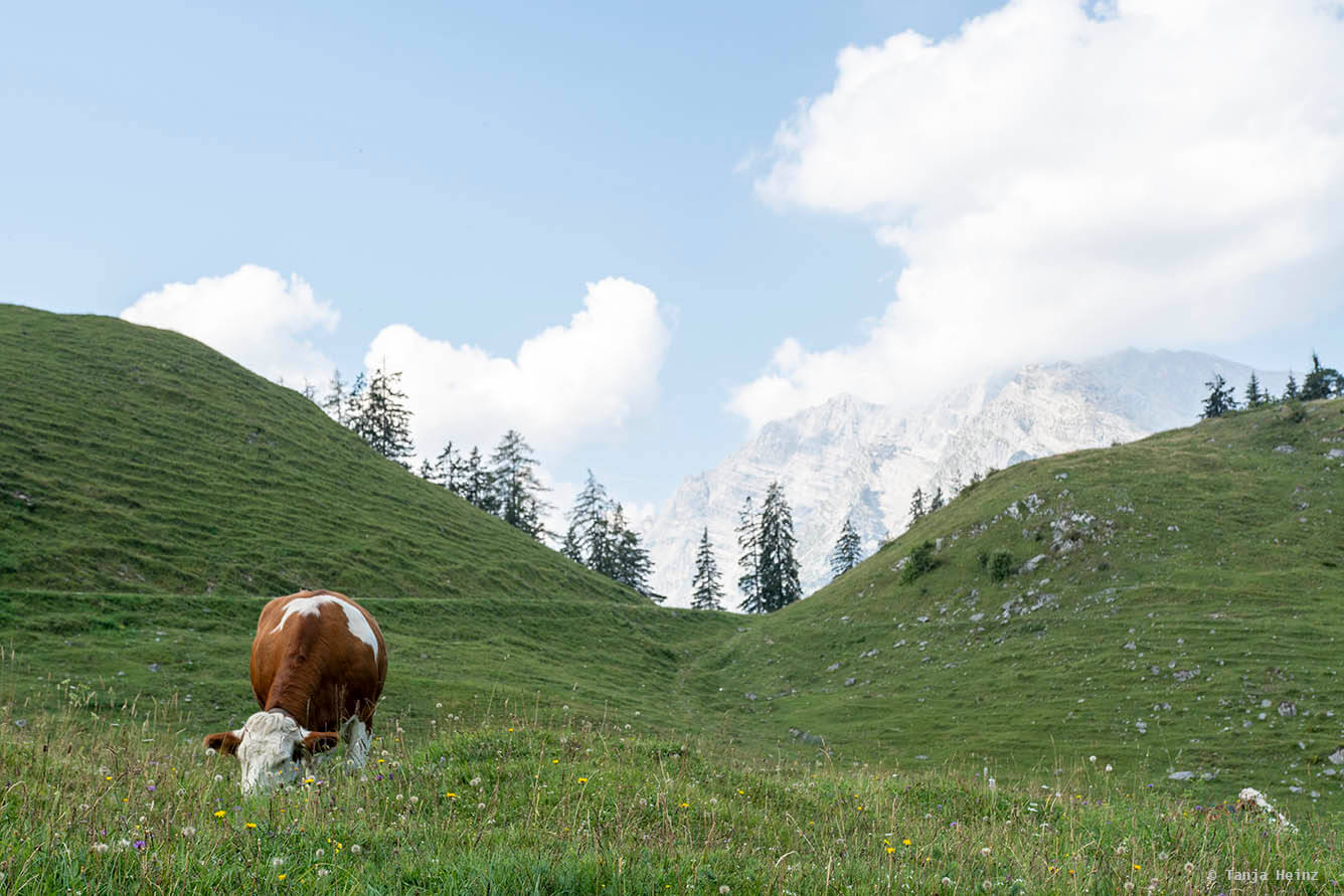 Berchtesgadener Land