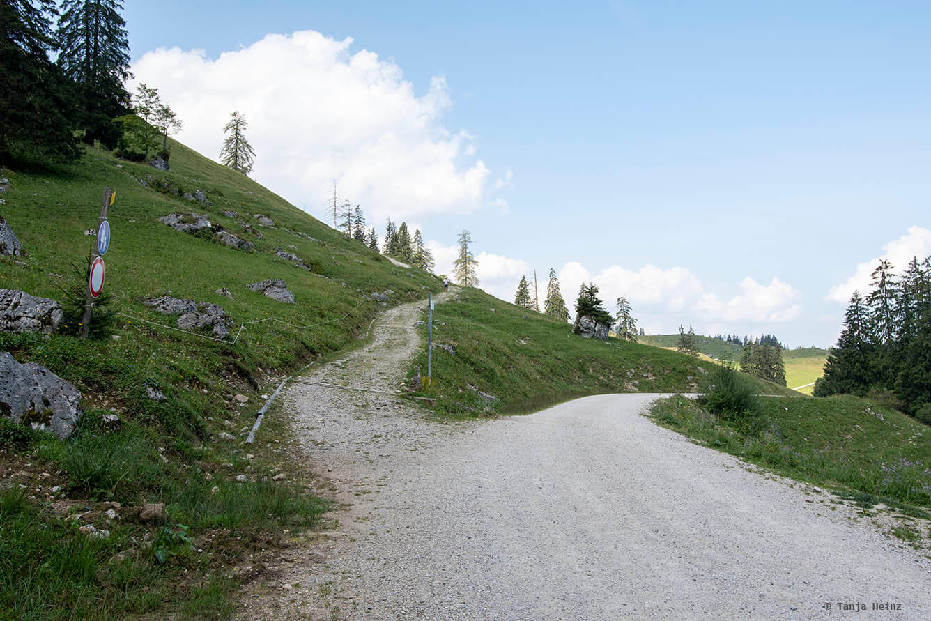 Path at the Königsbachalm