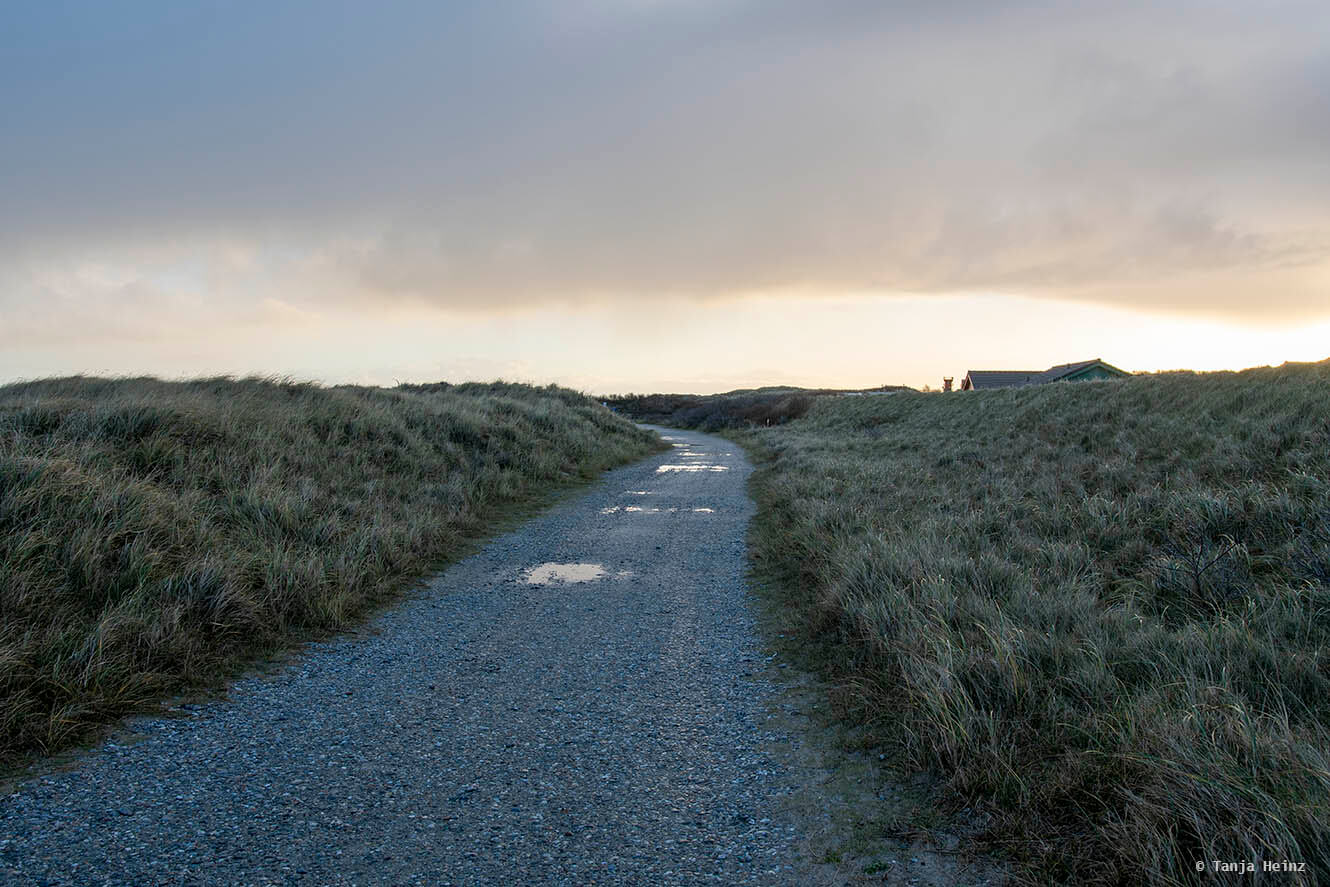 Weg auf der Düne