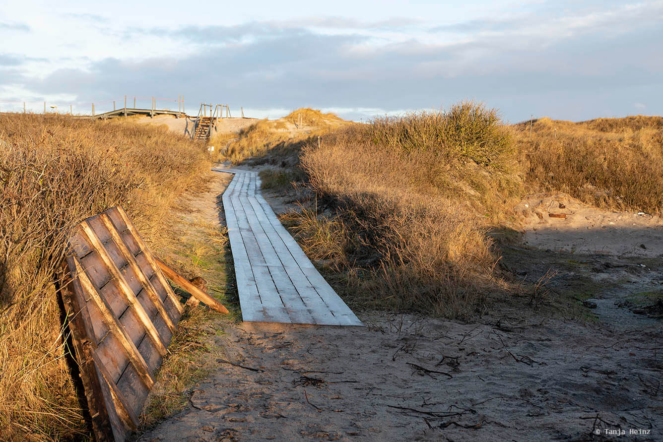 Weg auf der Düne