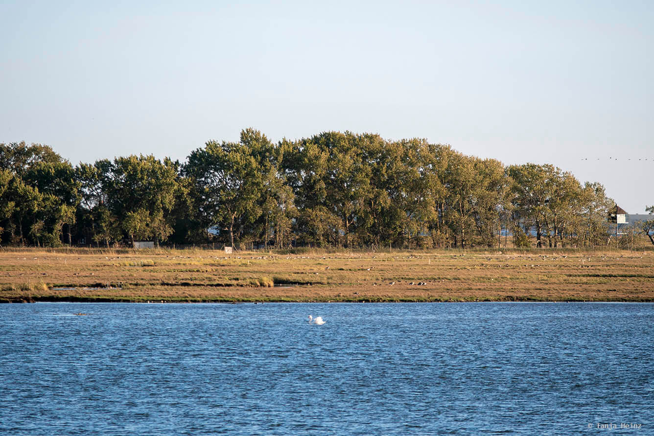 Bodden in Mecklenburg-Vorpommern