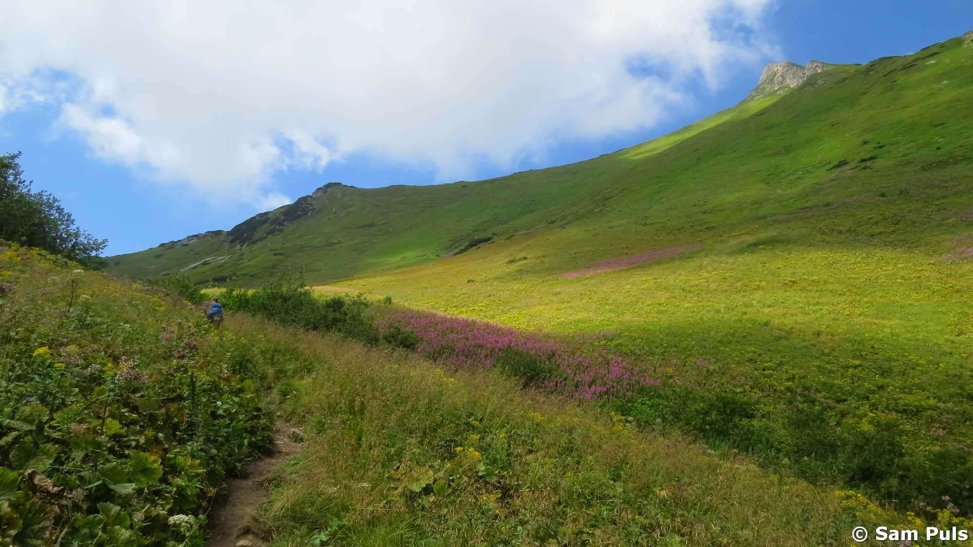 Alpine zone in Slovakia