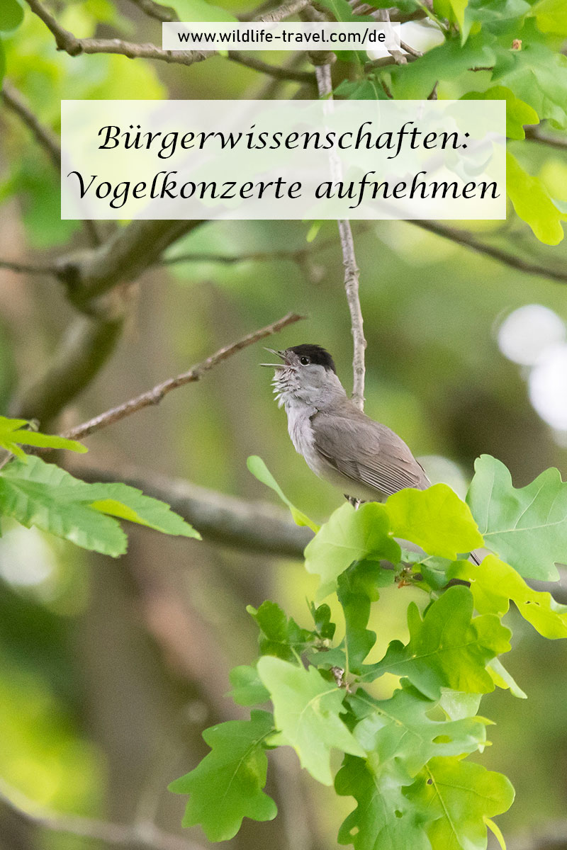 Citizen Science