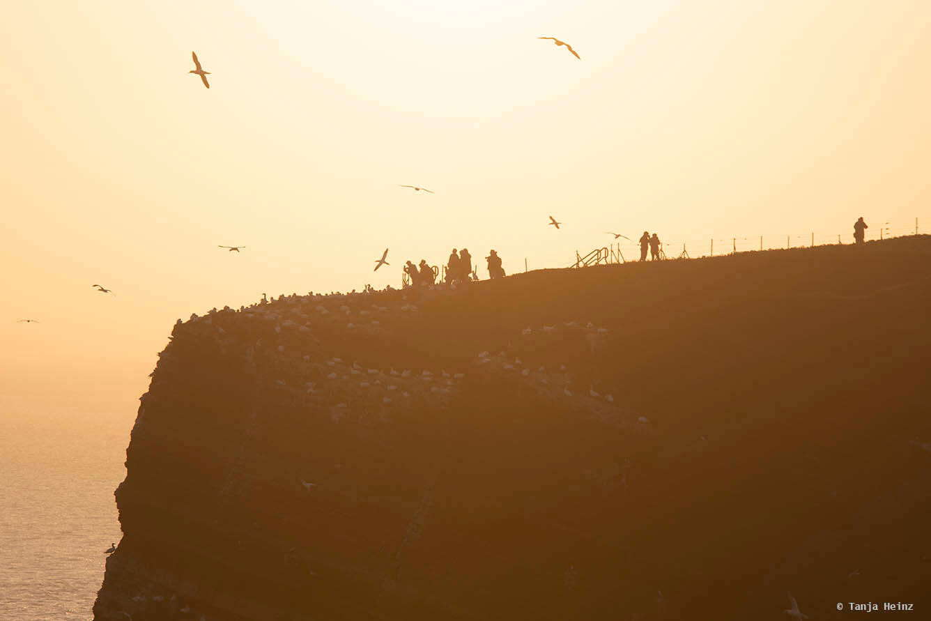 Sonnenuntergang auf Helgoland