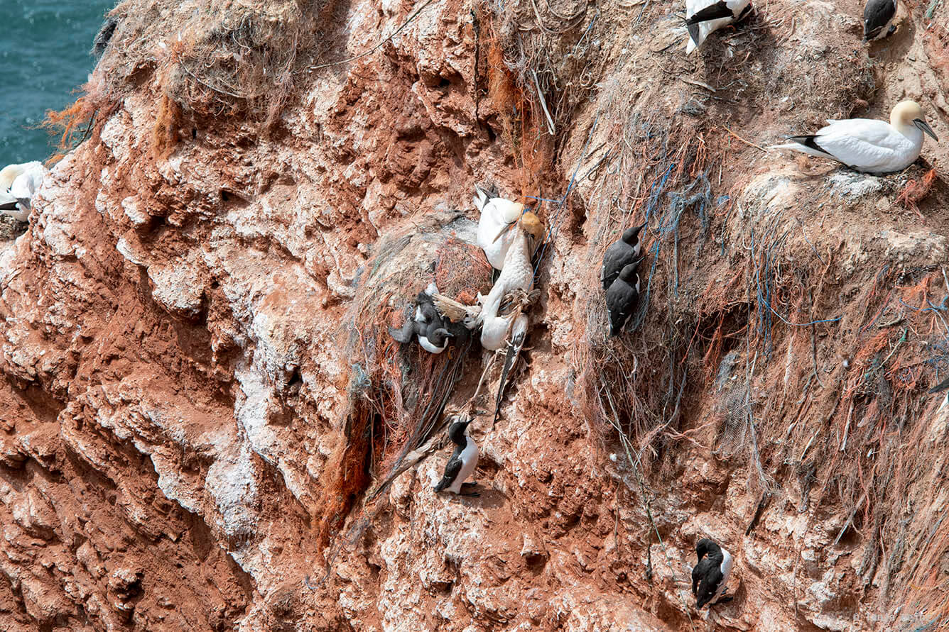 Plastikverschmutzung auf Helgoland