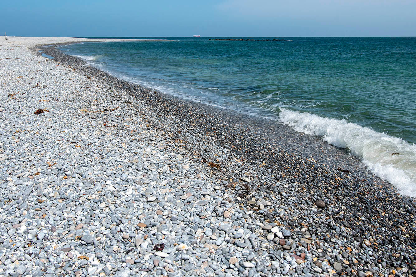 Coastwards Citizen Science