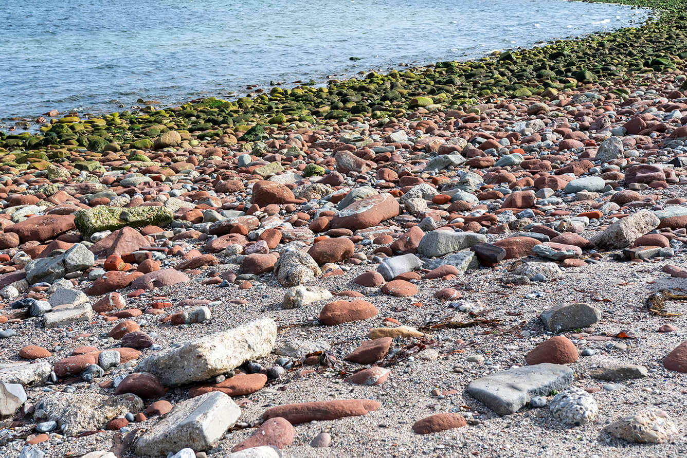 Coastwards Citizen Science