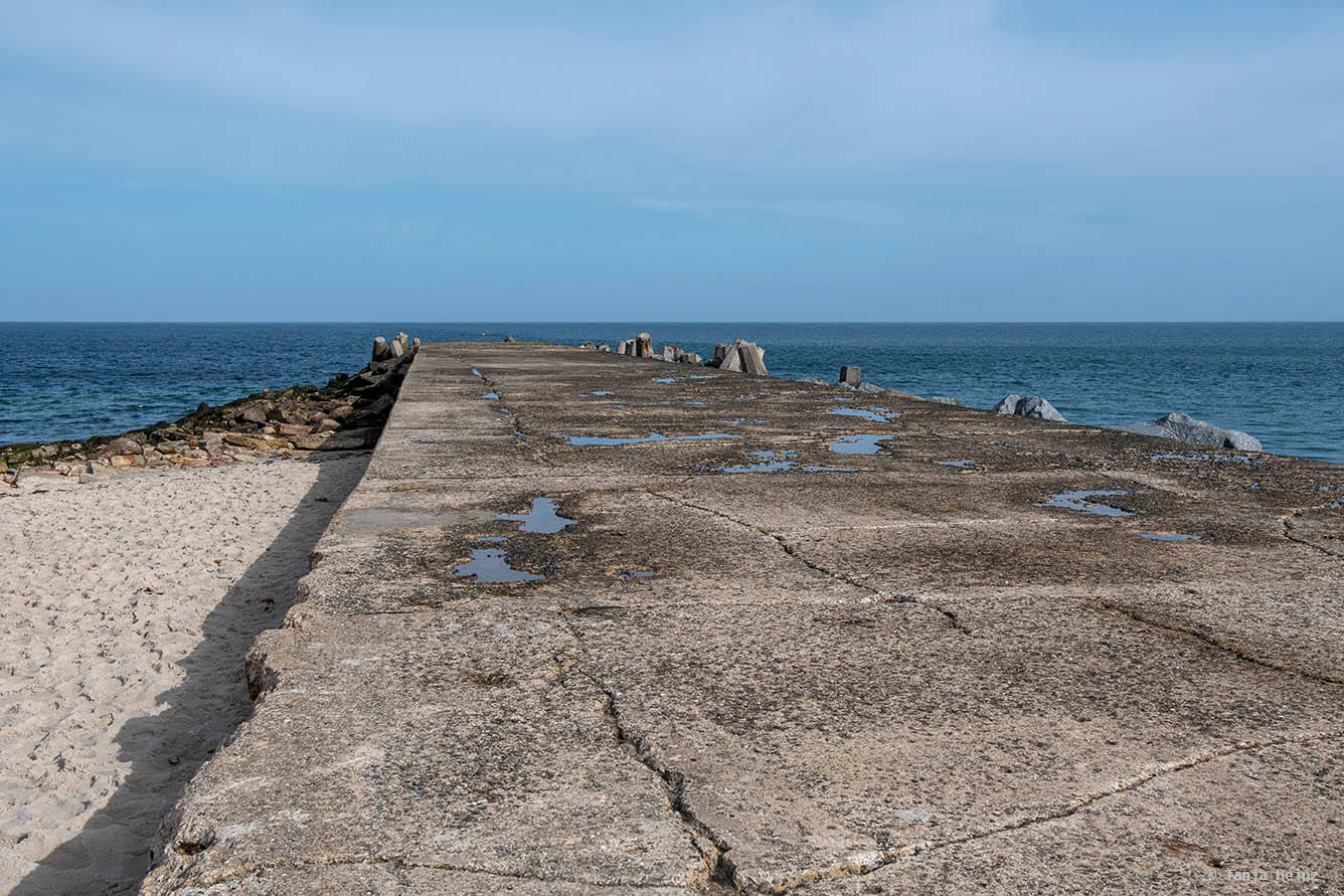 Coastwards Citizen Science