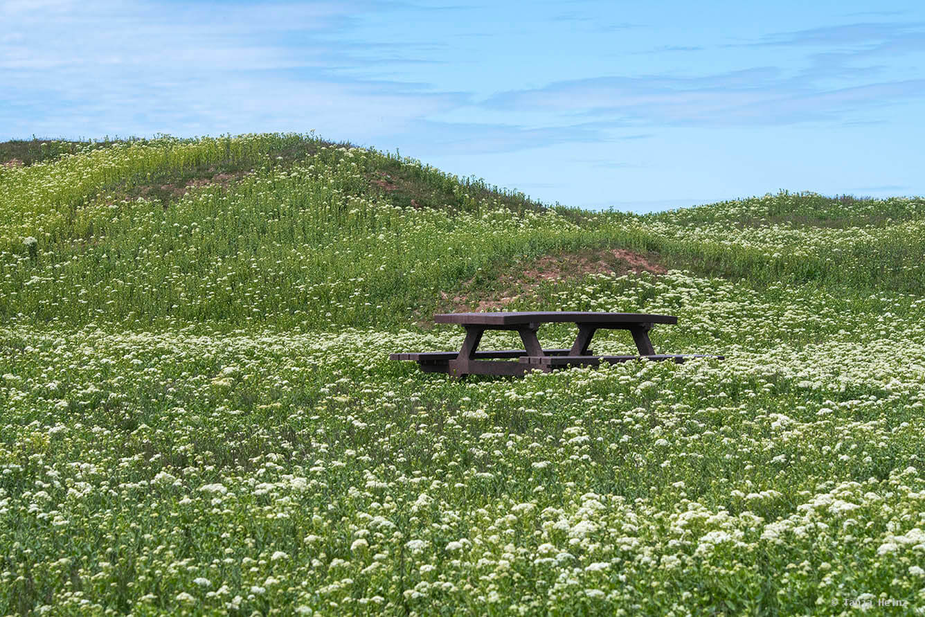 Landschaft auf Helgoland