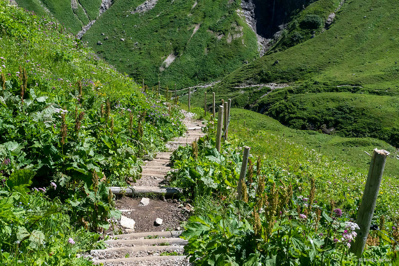 Weg in den Allgäuer Alpen