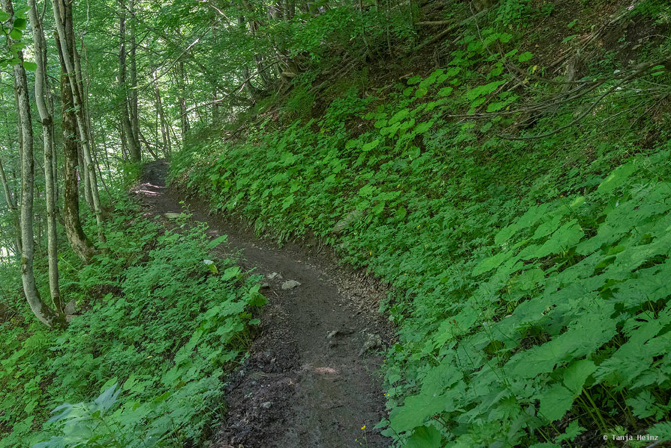 Weg zur Kemptner Hütte