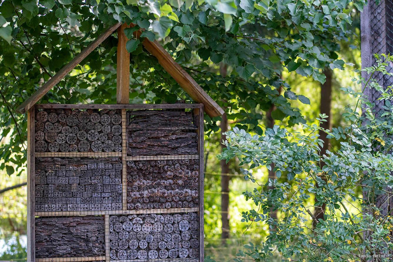 Kunsterspring
