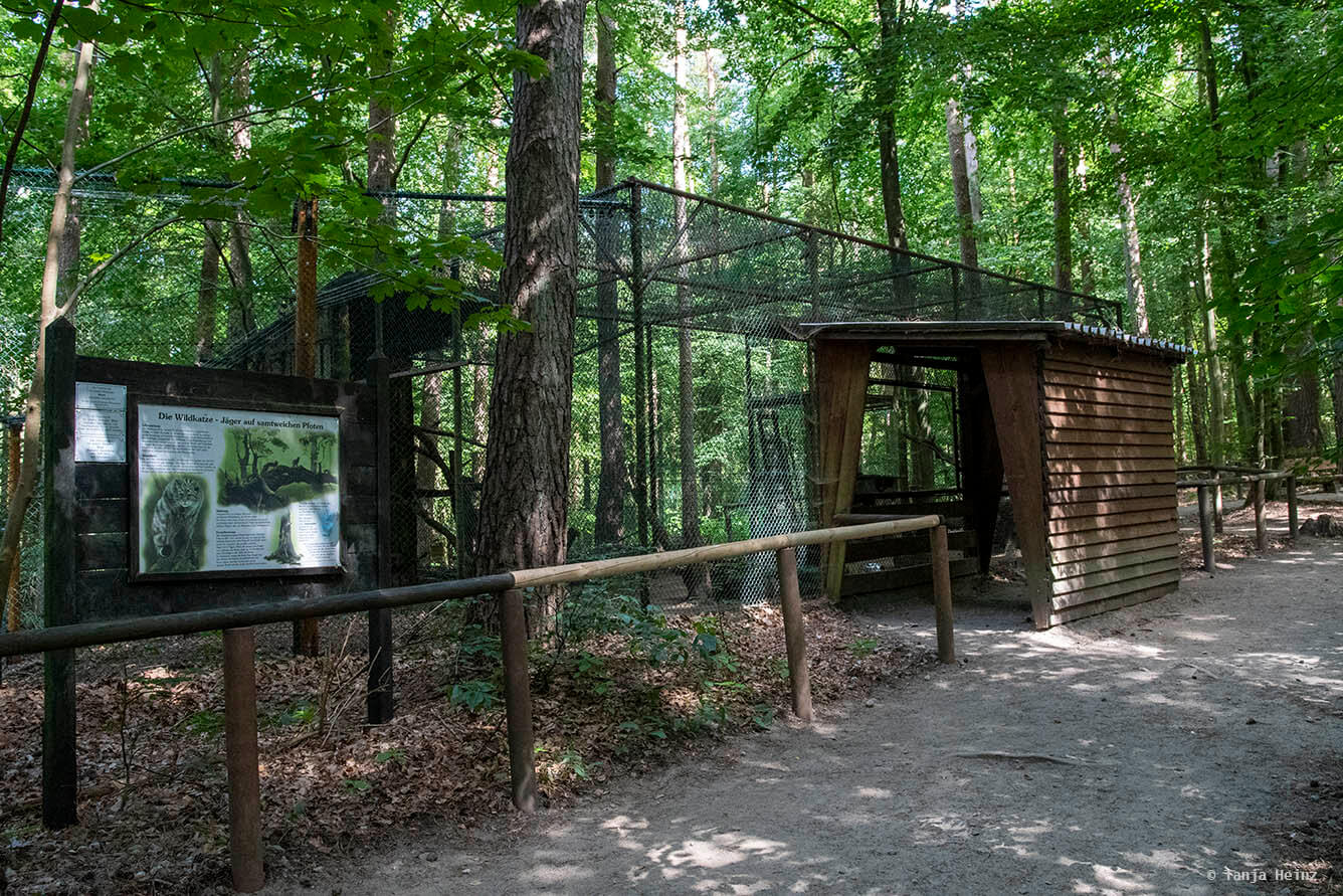 Kunsterspring