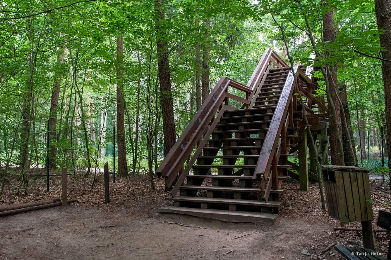 Kunsterspring