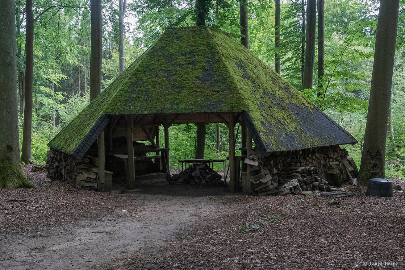 Kunsterspring