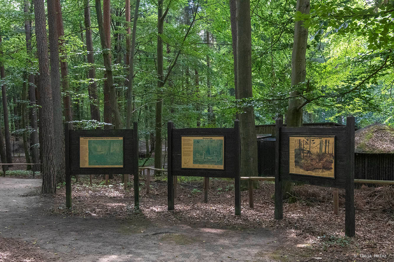 Kunsterspring