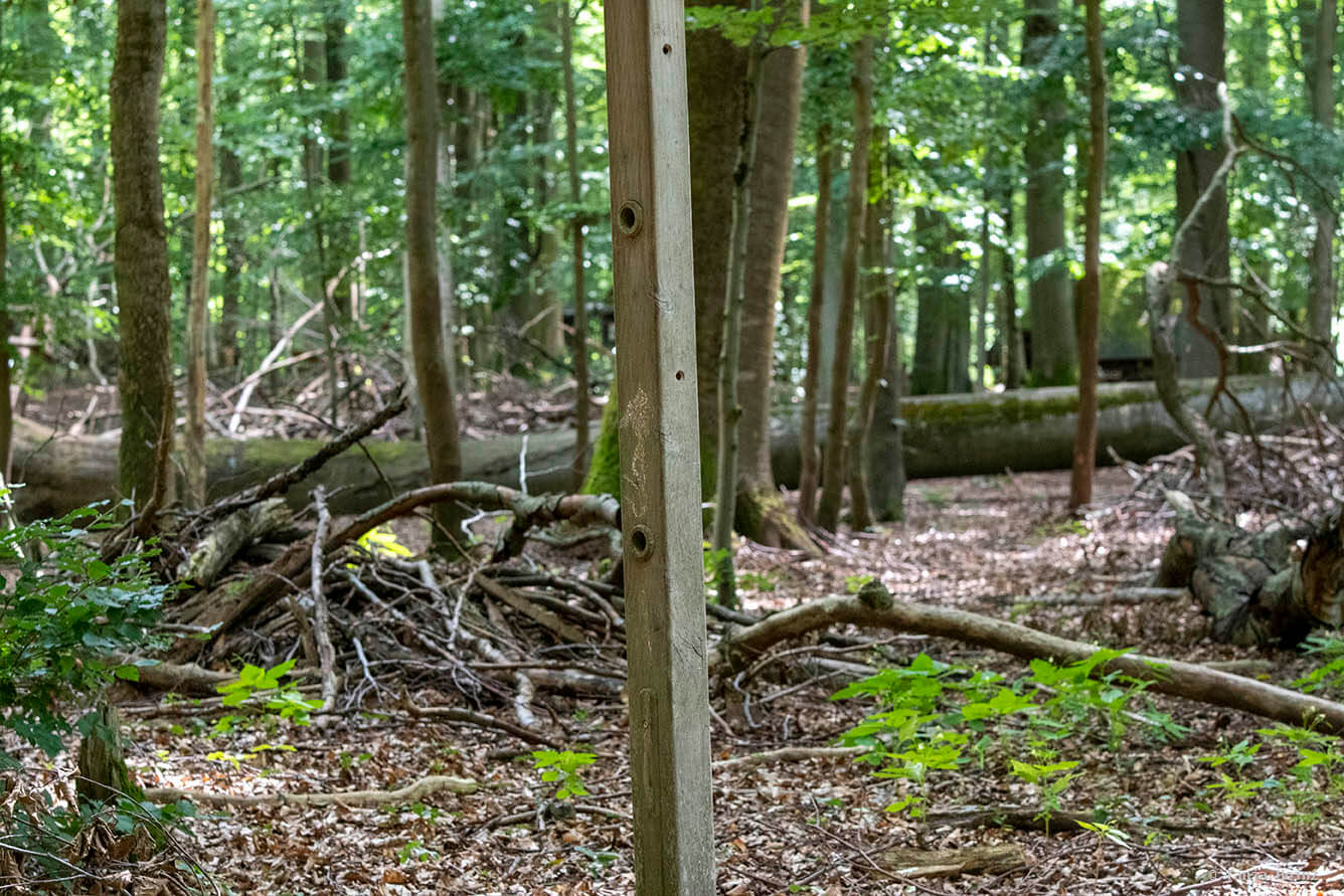 Kunsterspring