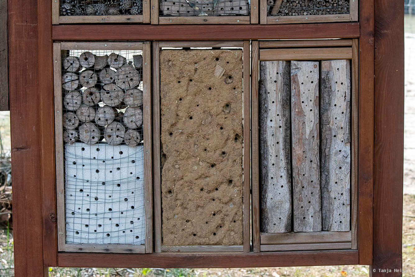 insect hotel
