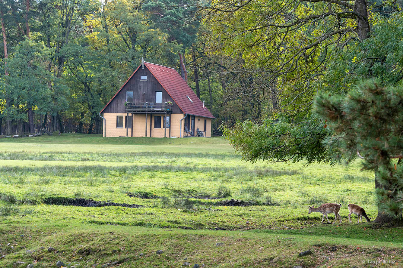 Johannismühle
