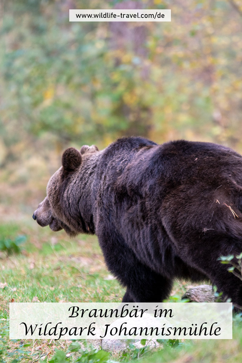 Wildpark Johannismühle