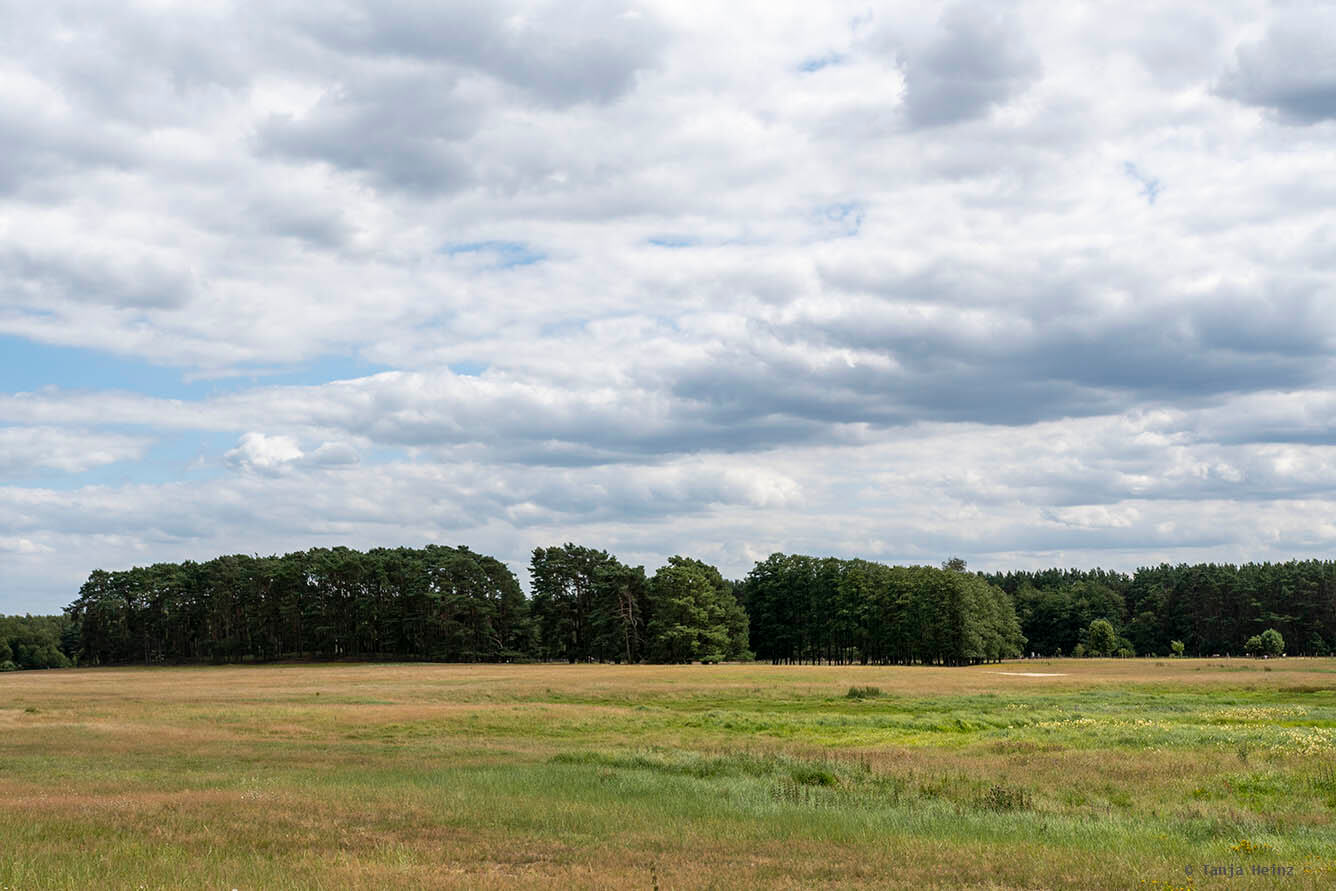 Wildpark Schorfheide