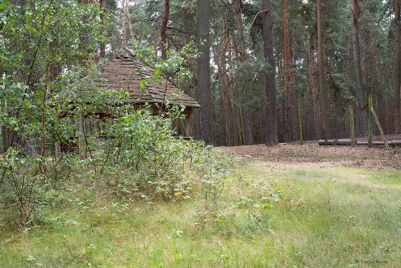 Wildpark Schorfheide