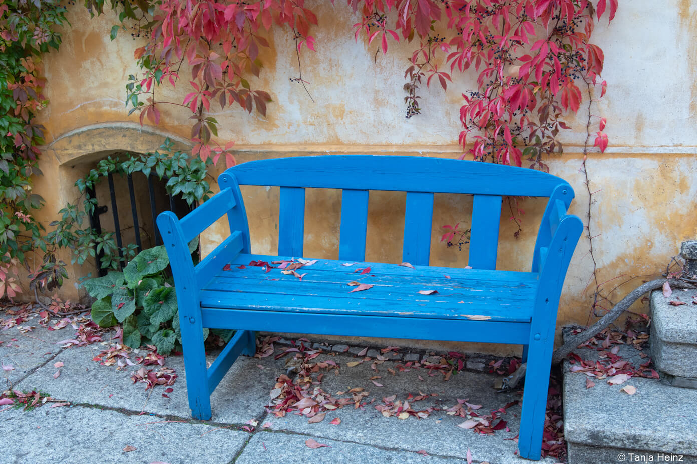 Stralsund in autumn