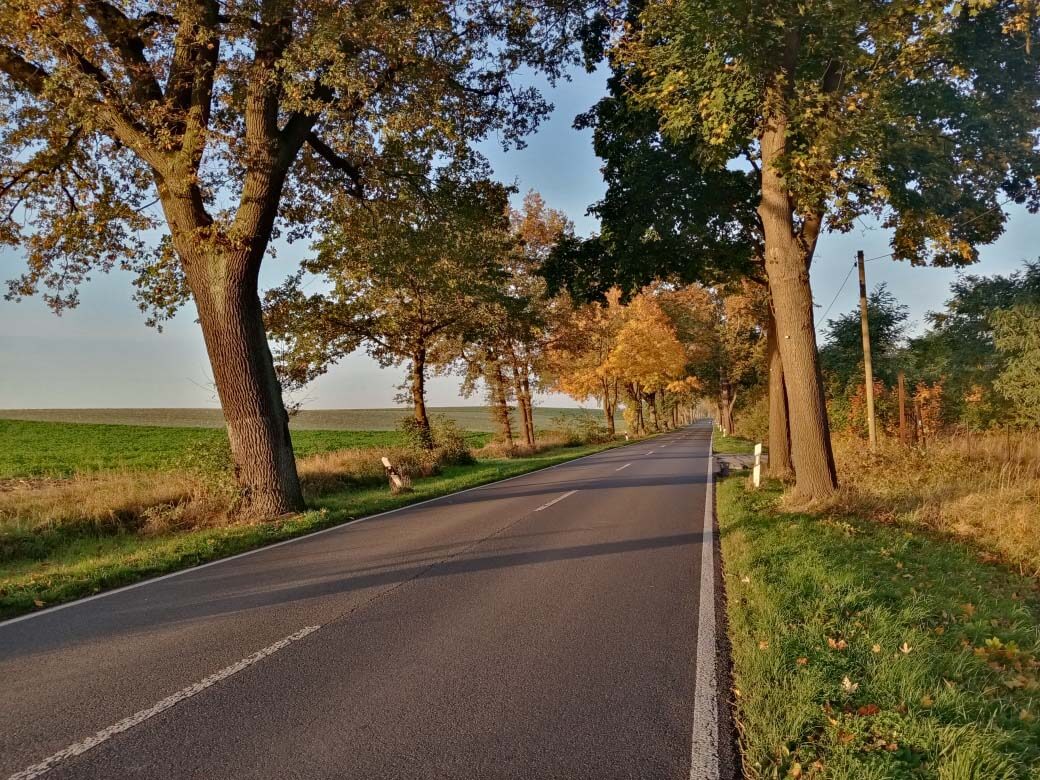 autumn in Linum