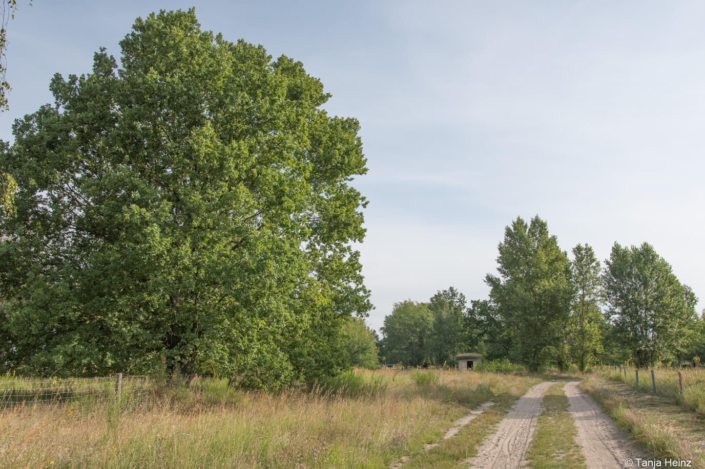 Wanderweg