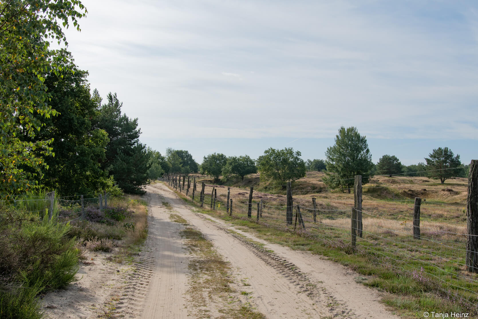 Döberitzer Heide
