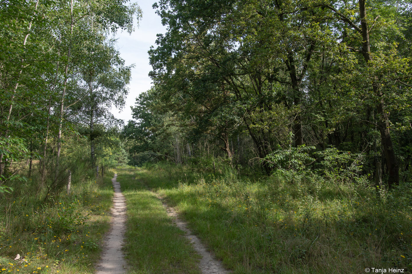 Wanderweg
