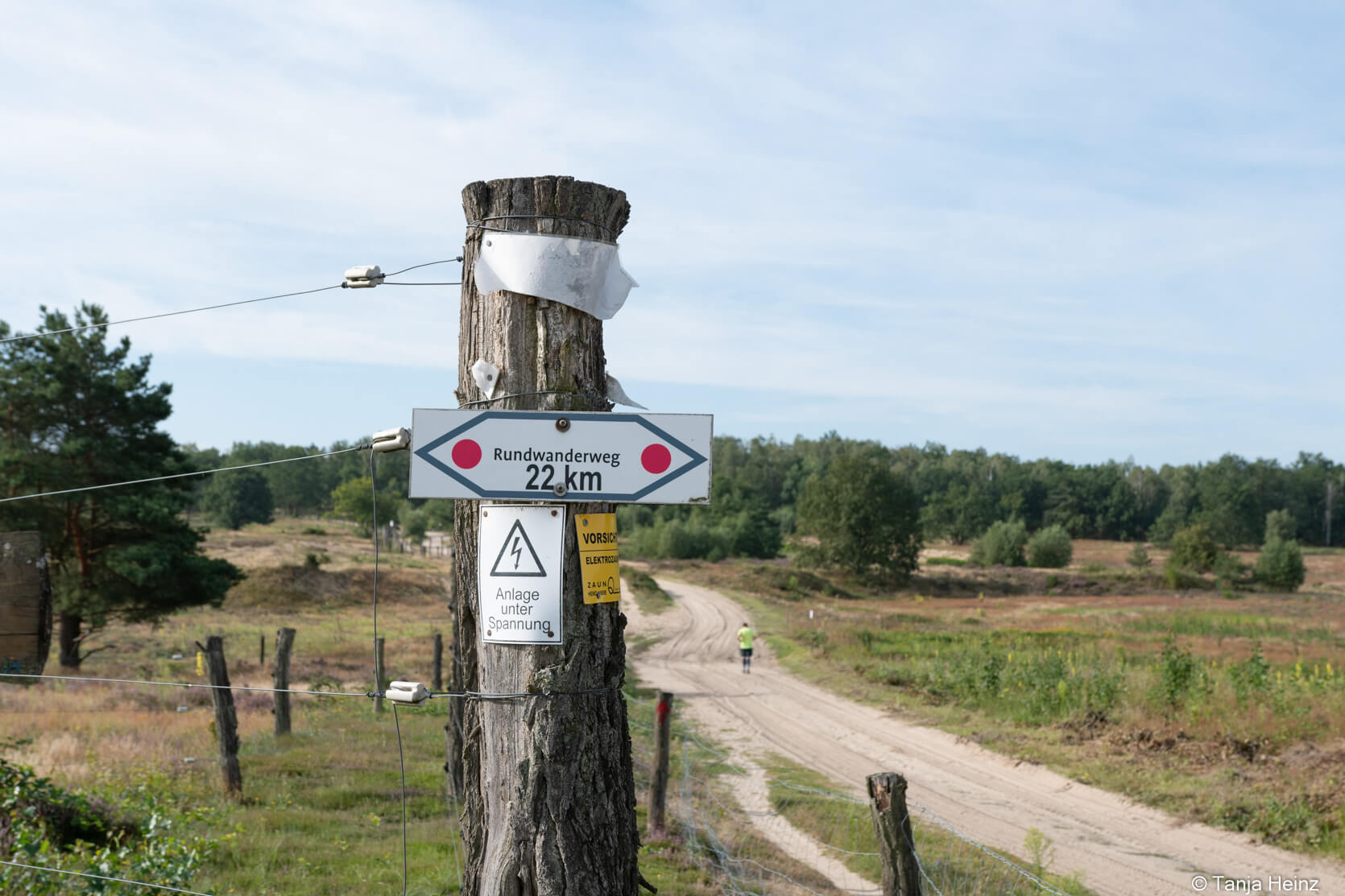 Wandern in der Döberitzer Heide