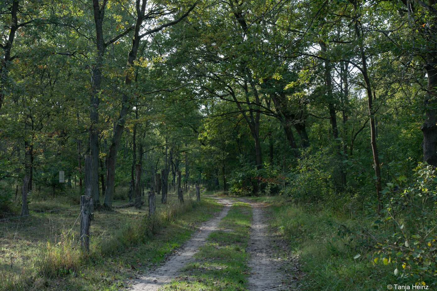 Wanderweg