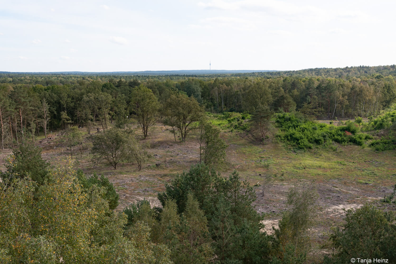 Aussichtsturm am Finkenberg