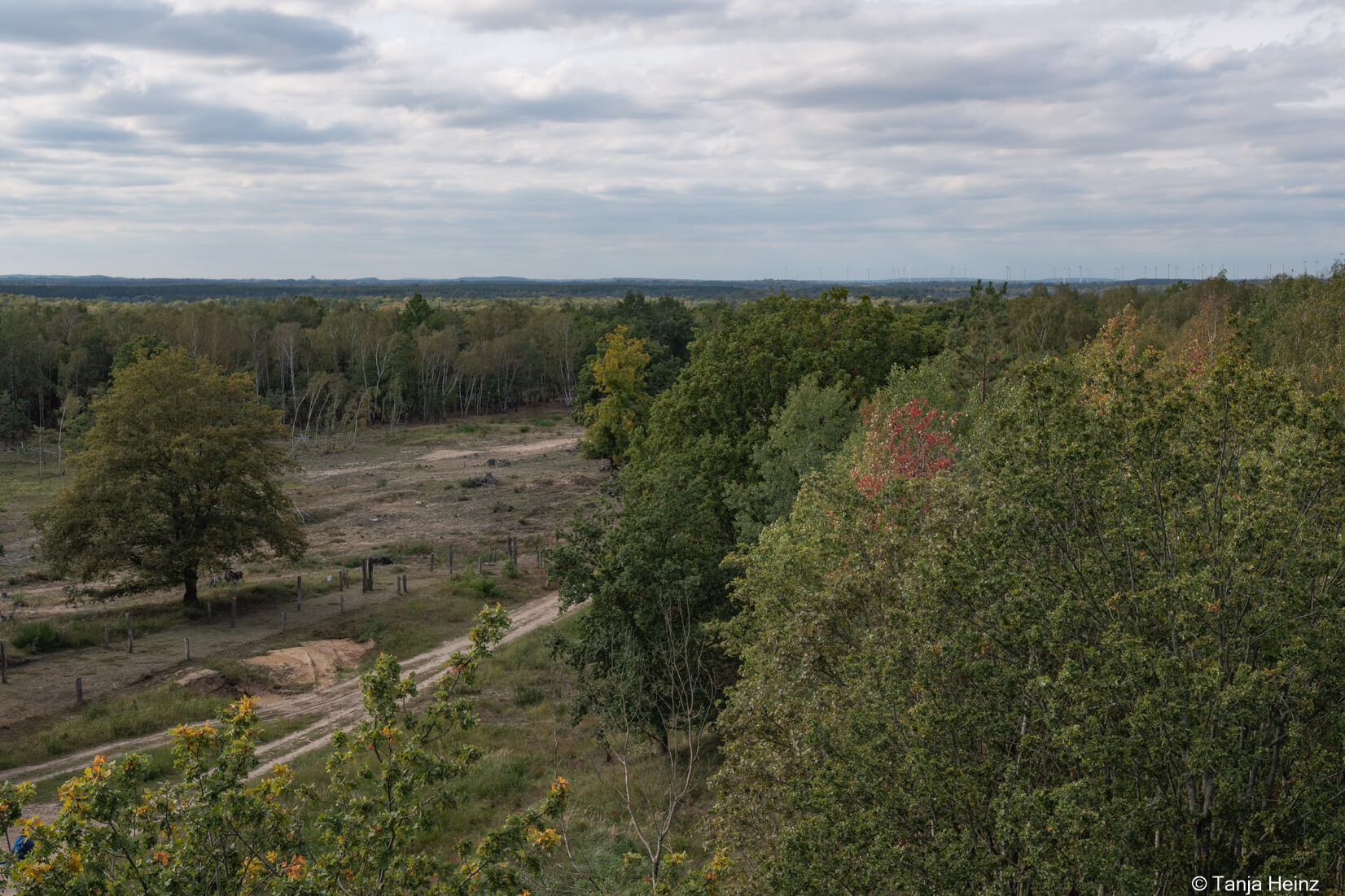 Aussichtsturm am Finkenberg